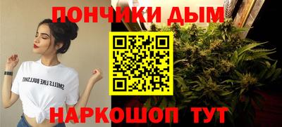альфа пвп Гатчина