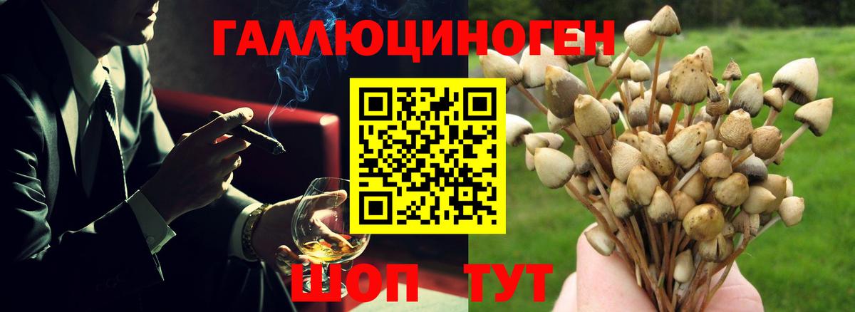 Псилоцибиновые грибы Psilocybine cubensis Назрань